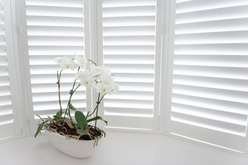 Wood Shutters Installation in Overland Park, KS